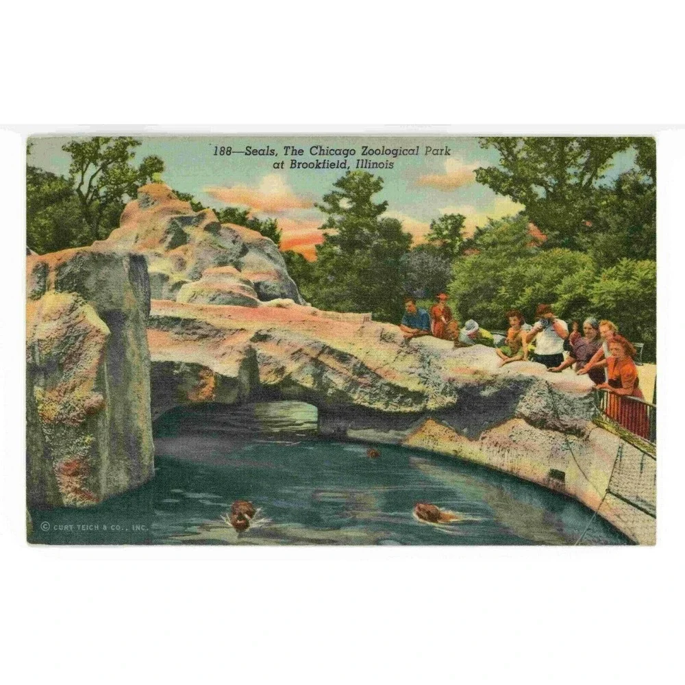 Vintage Postcard Chicago Zoological Park Seals‎ Zoo Illinois Travel USA Curteich